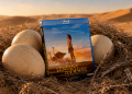 Conso-Mag-LEnfant-du-Desert-120x86 Accueil