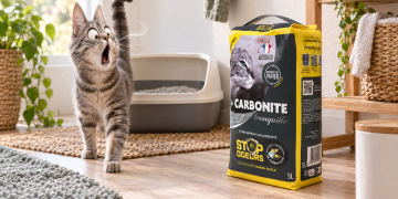 Test de la litière Carbonite Stop Odeurs de Tranquille : une promesse vraiment tenue ?