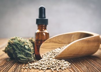 Comment faire pousser des graines à autofloraison