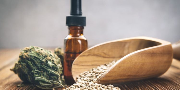 Comment faire pousser des graines à autofloraison