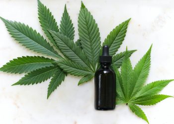 Le paysage juridique européen du cannabidiol (CBD)