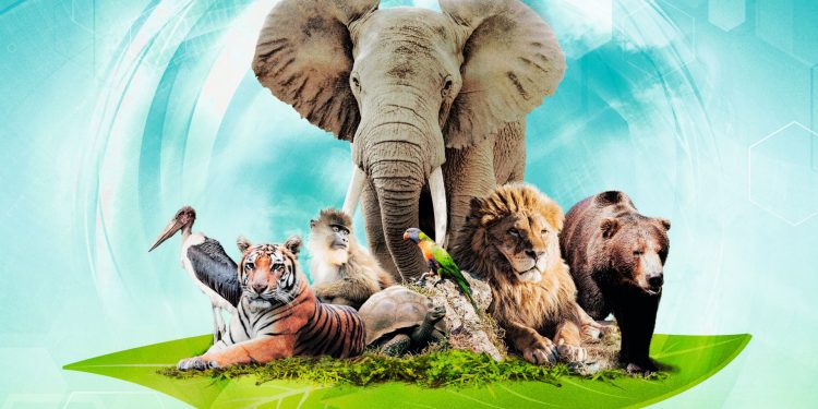 Ark Nova, mais quel jeu zoophistiqué !