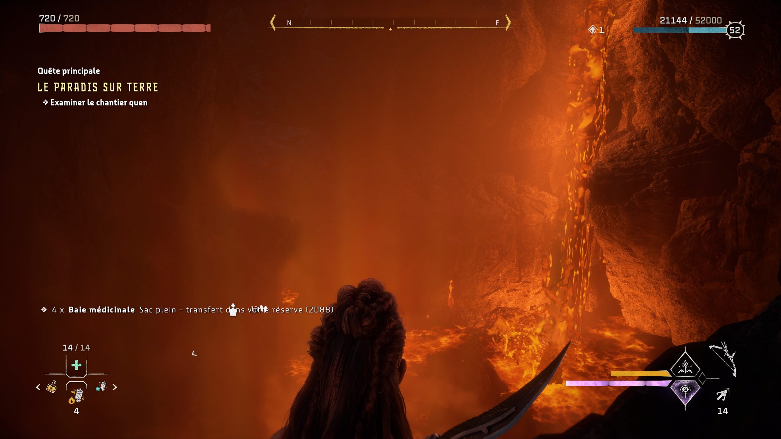 horizon forbidden west windows