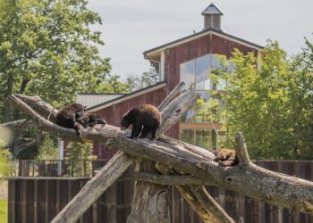 Le parc animalier de Sainte-Croix et notre séjour dans la Grange du Nouveau Monde