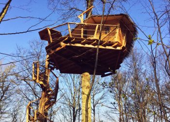 Les Cabanes au Bois d’Orient, ou la forêt pour chambre à coucher…