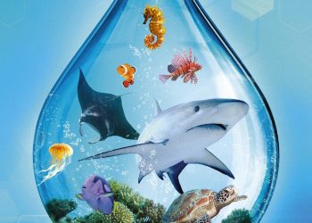 Mondes Marins, le nouveau trésor (sous-marin) d’Ark Nova