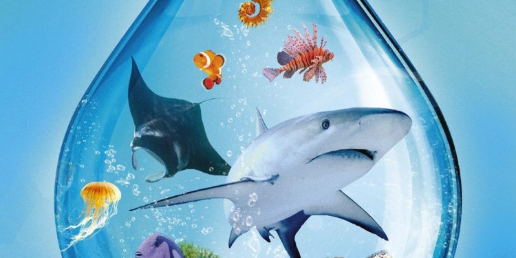 Mondes Marins, le nouveau trésor (sous-marin) d’Ark Nova