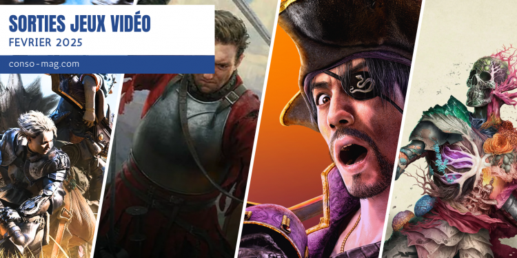 Les sorties jeux vidéo de février 2025