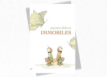 [LIVRE] Immobiles de Martine Delerm