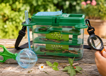 Clementoni La Maison des insectes : un habitat un peu trop artificiel