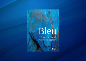 Bleu – Quand la nature invente l’exception